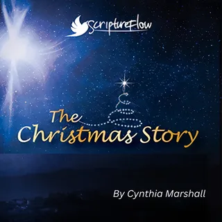 The Christmas Story album cover